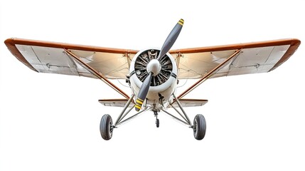 Vintage Airplane Front View with Propeller and Striking Design