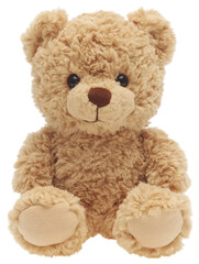 Isolated Teddy Bear