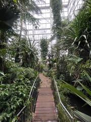 Botanical garden