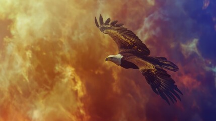 Obraz premium Bald Eagle in Flight with a U.S. Flag Backdrop
