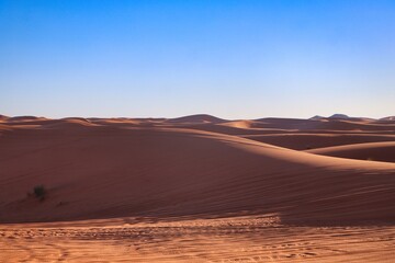 Sahara Desert, Morocco