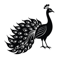 Peacock silhouette on white background