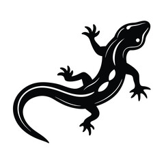 lizard silhouette on white background