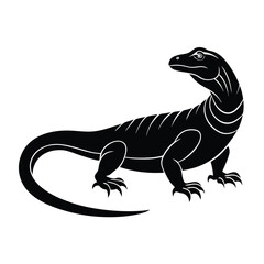 Comado dragon silhouette on white background