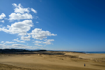 鳥取県の観光スポットである鳥取砂丘の雄大な景観