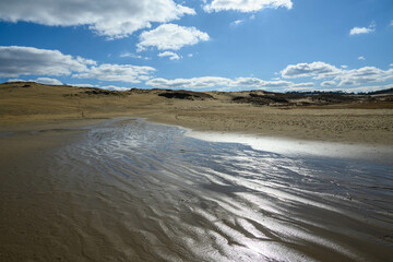 鳥取県の観光スポットである鳥取砂丘の雄大な景観