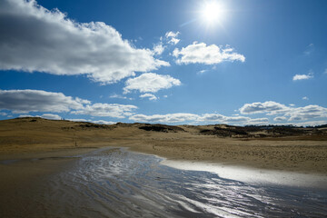 鳥取県の観光スポットである鳥取砂丘の雄大な景観