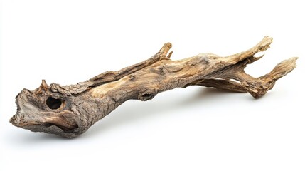Naklejka premium Ancient Driftwood: Awe-Inspiring Natural Wood Texture