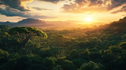 Fototapeta premium A breathtaking view of a sunrise over a lush green forest landscape with mountains in the distance