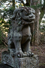 Fototapeta premium 日本の伝統的な神社 鳥取県倉吉市で撮影