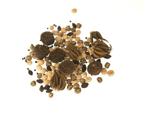 Mix of summer flowers seeds : ranunculo, anemone, on white background