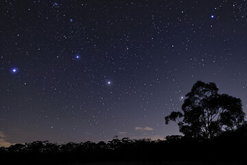 Tranquil night scene capturing the sparkling stars above a dark forest silhouette
