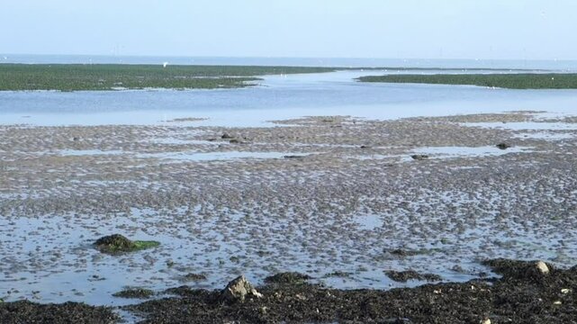 Terschelling Friesland The Netherlands View over the wad at low tide. With sea mist breaking the sunshine. The Wadden Sea is a UNESCO Biosphere Reserve often referred to as the nursery for the North S