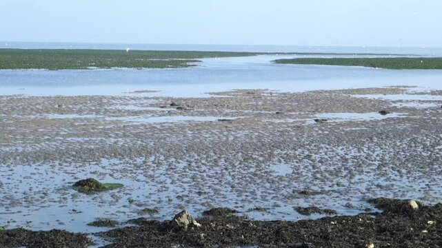 Terschelling Friesland The Netherlands View over the wad at low tide. With sea mist breaking the sunshine. The Wadden Sea is a UNESCO Biosphere Reserve often referred to as the nursery for the North S