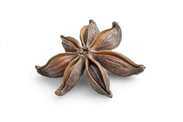 Looking closely at aromatic cumin seeds on a pristine white background with distinct textures and rich tones captured in studio lighting