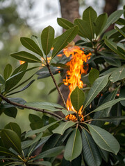 A fiery blaze emerges from green leaves, showcasing nature's contrasting elements of fire and foliage in a vivid scene.