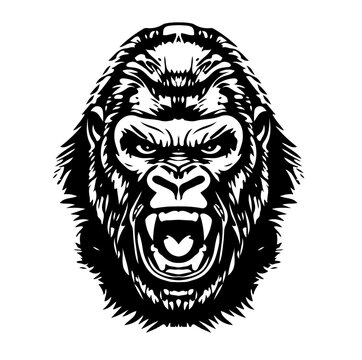 Gorilla Tier Affe Monkey