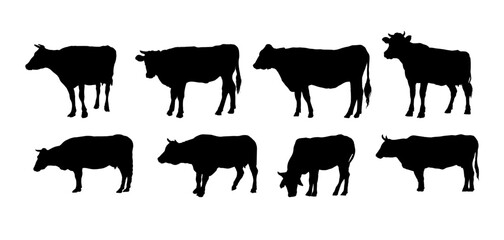Set of silhouette of a cow side view - vector illustration