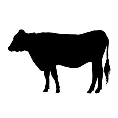 silhouette of a cow side view - vector illustration