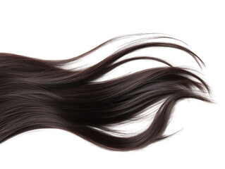 Isolated Brown Hair Extension Wavy Style