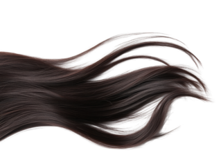 Isolated Brown Hair Extension Wavy Style