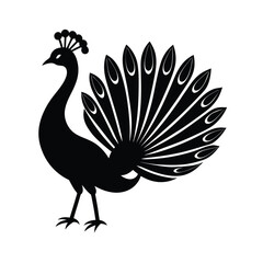 peacock with feathers vector illustration