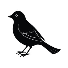 bird on a branch vector illustration