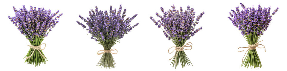 Fototapeta premium Lavender Bouquet Tied with Twine – A fragrant bundle of fresh lavender tied with twine evoking a calming natural aesthetic. Isolated on Clear White Background Highly Detailed