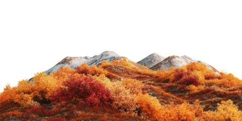Autumn mountain landscape with colorful trees isolated on transparent background