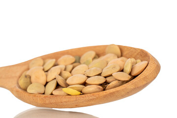 Lentil seeds in a wooden spoon, close-up, isolated on a white background.