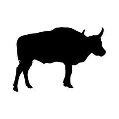 Adult bull standing, vector illustration. silhouette isolated on a white background stock illustration.ai