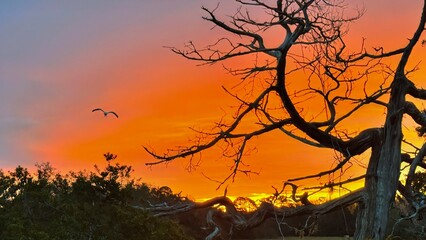 Sunrise over the marshland in St. Augustine Florida on Jan 15 2025 