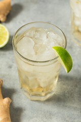 Healthy Refreshing Bubbly Ginger Ale