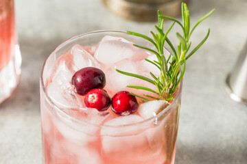 Boozy Cold Cranberry Christmas Punch Cocktail