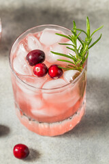 Boozy Cold Cranberry Christmas Punch Cocktail
