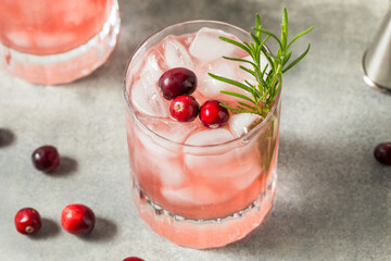 Boozy Cold Cranberry Christmas Punch Cocktail
