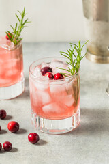 Boozy Cold Cranberry Christmas Punch Cocktail