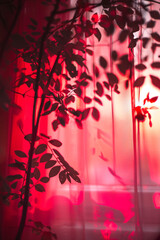 The silhouette of a tree is casting shadows on a window with a warm red background