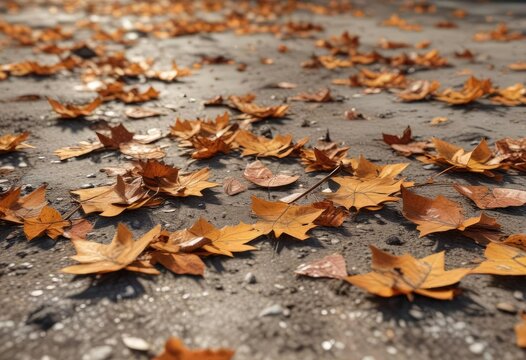 Dry arbusti with shattered leaves on the ground, desiccated, cracked earth, parched terrain
