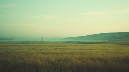 Obraz premium An endless expanse of golden field meets the horizon in a serene landscape, evoking a sense of peace and wide-open freedom.