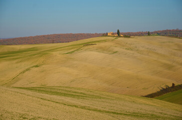 Obraz premium Campagna toscana