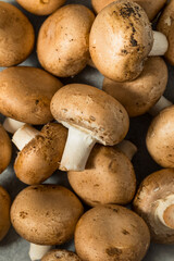 Raw Organic Cremini Baby Bella Mushrooms