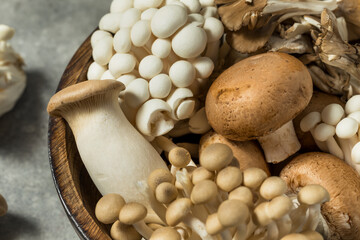 Organic Raw Assorted Gourmet Mushrooms