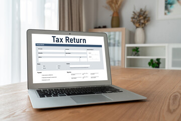 Online tax return form for submitting individual income tax return form snugly on the internet...