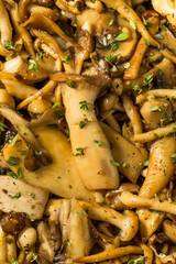 Homemade Roasted Sauteed Gourmet Mushrooms
