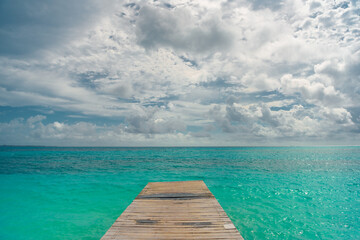 Seagull on a pier overlooking the Caribbean Sea.
