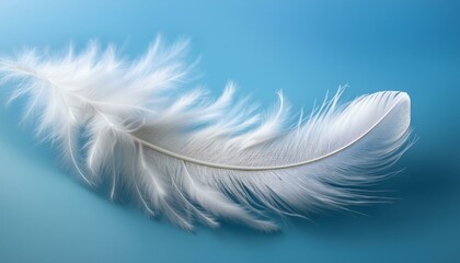 Fototapeta premium a white fluffy bird feather on a delicate blue background
