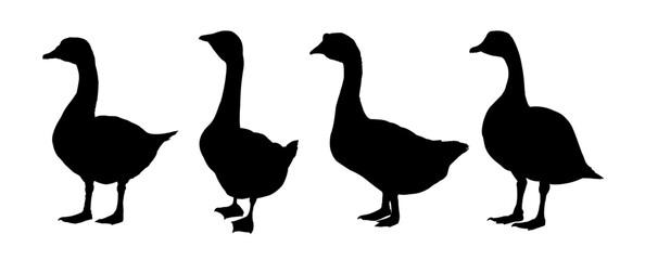 Set of  goose silhouette - vector illustration