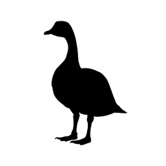 Silhouette of a goose - vector illustration