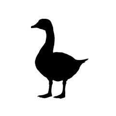 Silhouette of a goose - vector illustration
